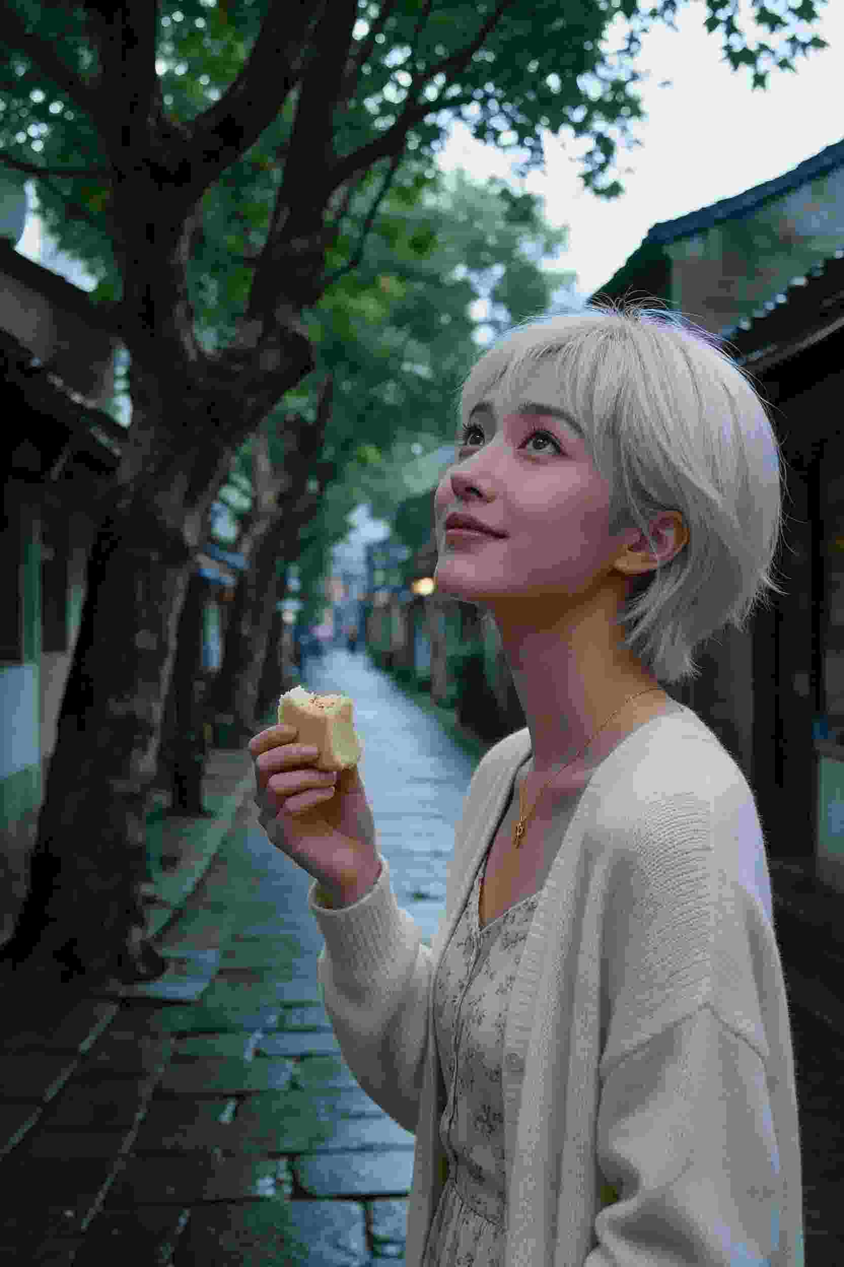 精灵之城